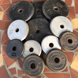 Standard 1inch Weight Plates 