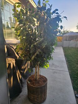 Artificial tree indoor
