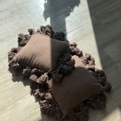 Brand New Couch Pillows 