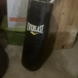 Everlast Heavy Bag