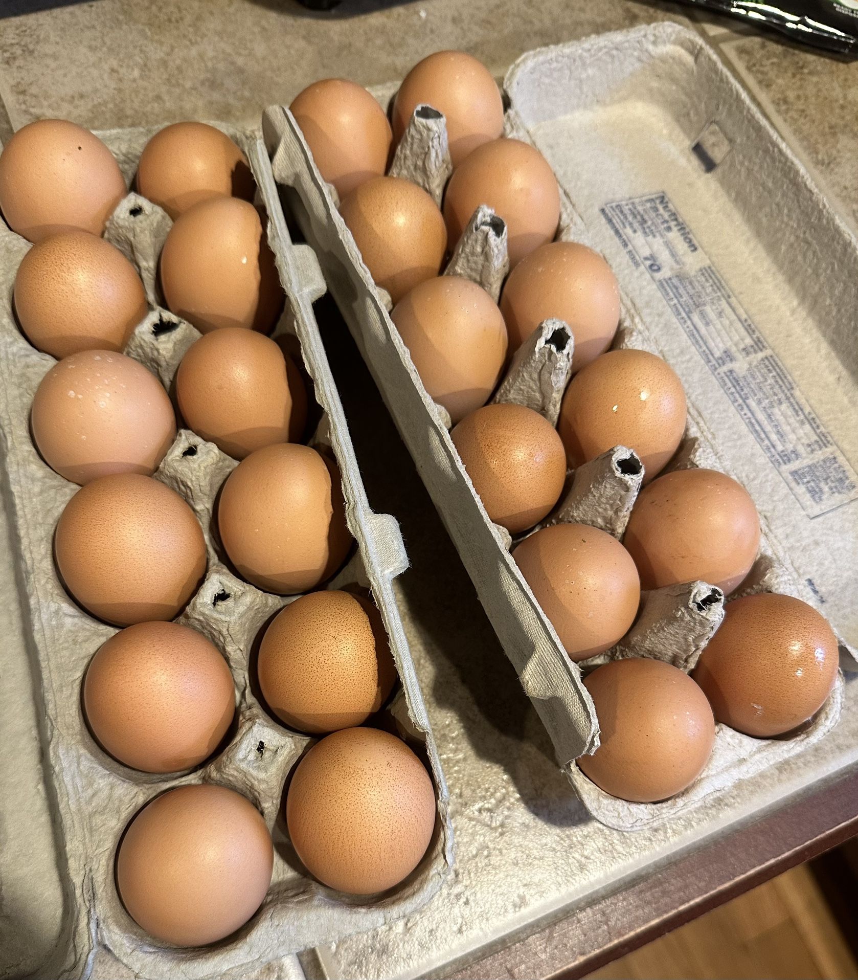 Eggs! Eggs! Eggs! Yelm/Olympia