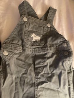 Carter’s overalls/ 12 moths