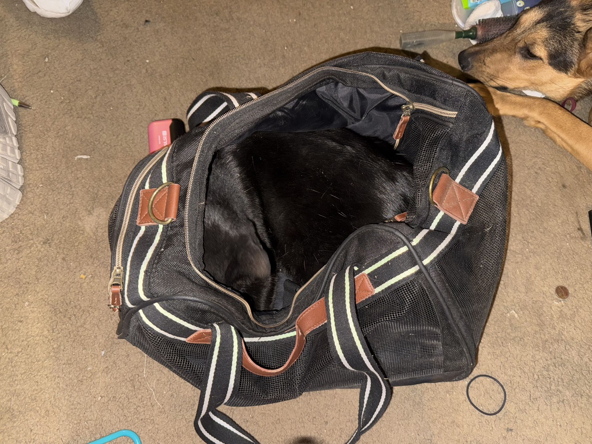 Dog/cat Carrier