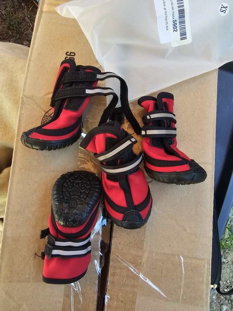 Dog Boots