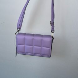 Purple Purse 