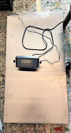 Heavy-Duty Digital Platform Scale, 660 lb Capacity, Stainless Steel