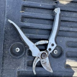 gardener. Cliper.  good Condition. 