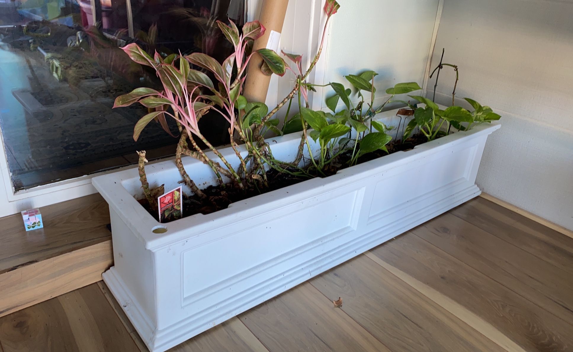 48" hanging rail planter with plants