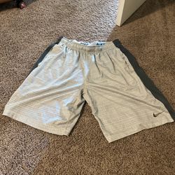 Whiteish Grey Vintage Nike Shorts Size Large