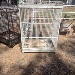Wrought Iron Bird Cages 