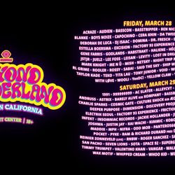 Beyond wonderland Ticket 