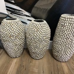 Sea Shell Vases