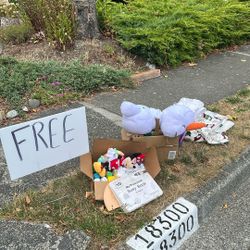 FREE ITEMS