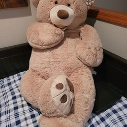 Teddy Bear