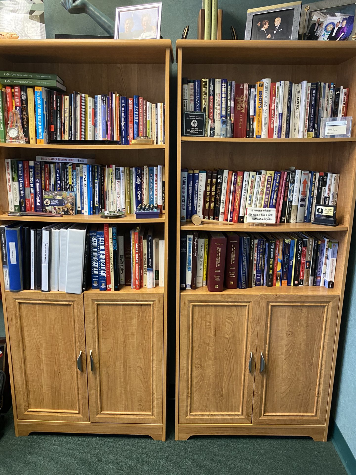 Bookshelves with bottom cabinet