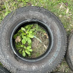 Se Vende $200 Por Todas 