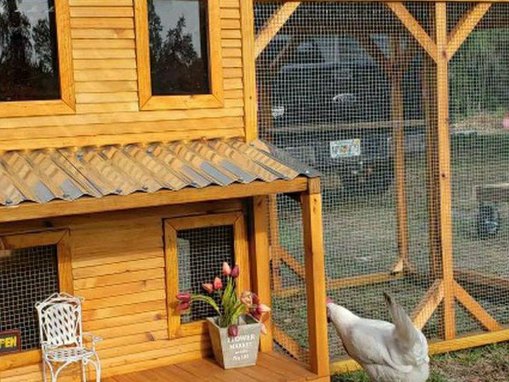 Custom Built Chicken Coop.