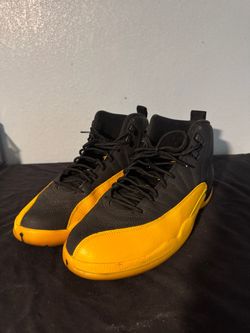 Jordan 12 retro