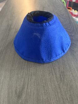 Kitten Collar