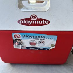 Playmate Lunch Cooler Like New 