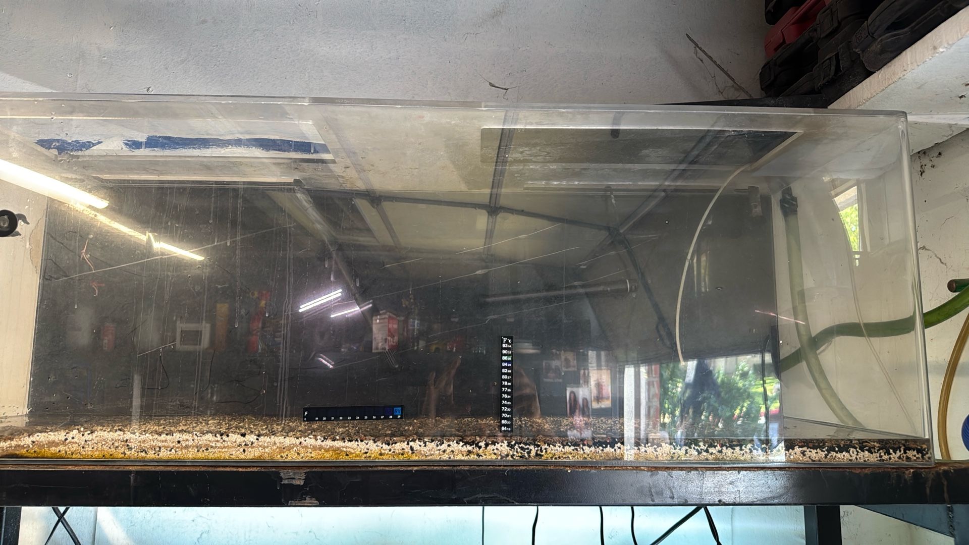 100 Gallon Acrylics Tank 