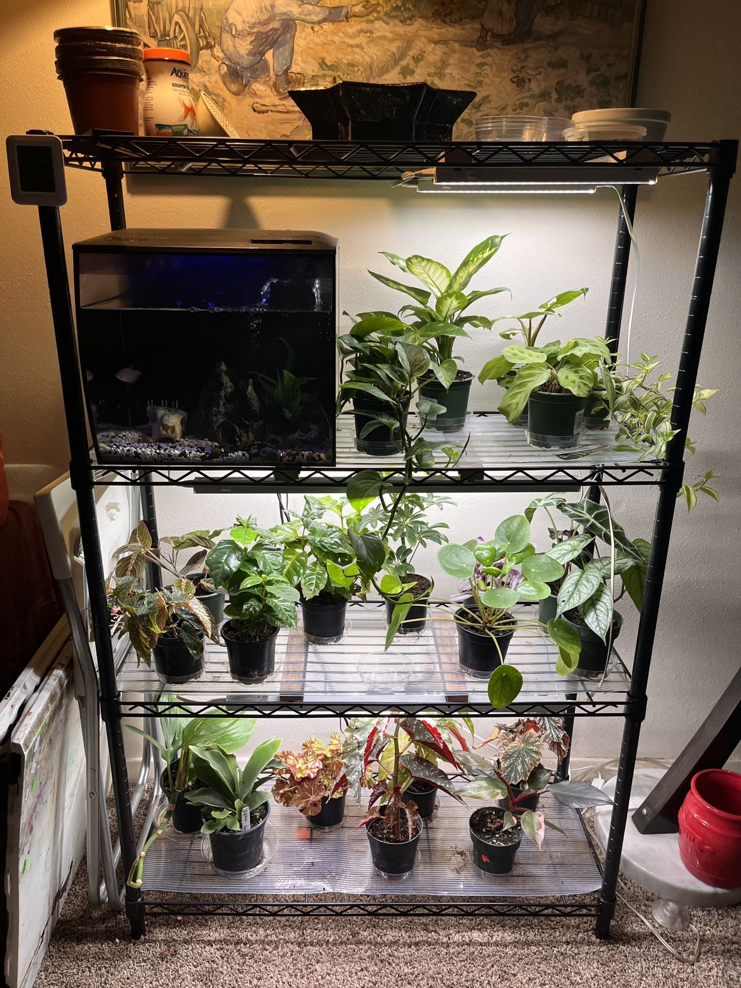 Preassembled Plant Shelf With Lights