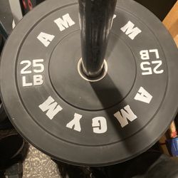 Olympic Weight Bumper Plates For Your Home Gym