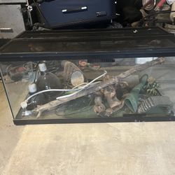 Tank For Lizards 