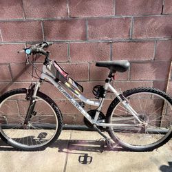 Roadmaster Bicycle 