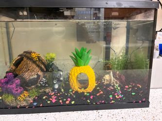 Fish tank set up brand new