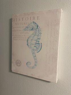 Seahorse Histoire Naturelle Canvas Wall Art