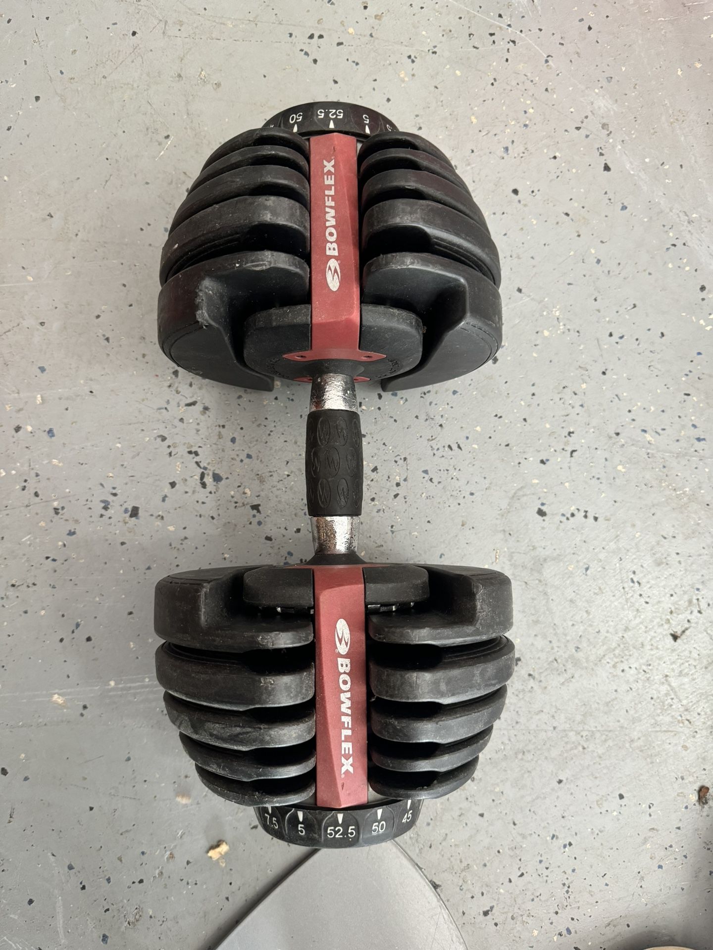 Blowflex Dumbbell 