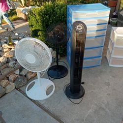 Oscillating Fans