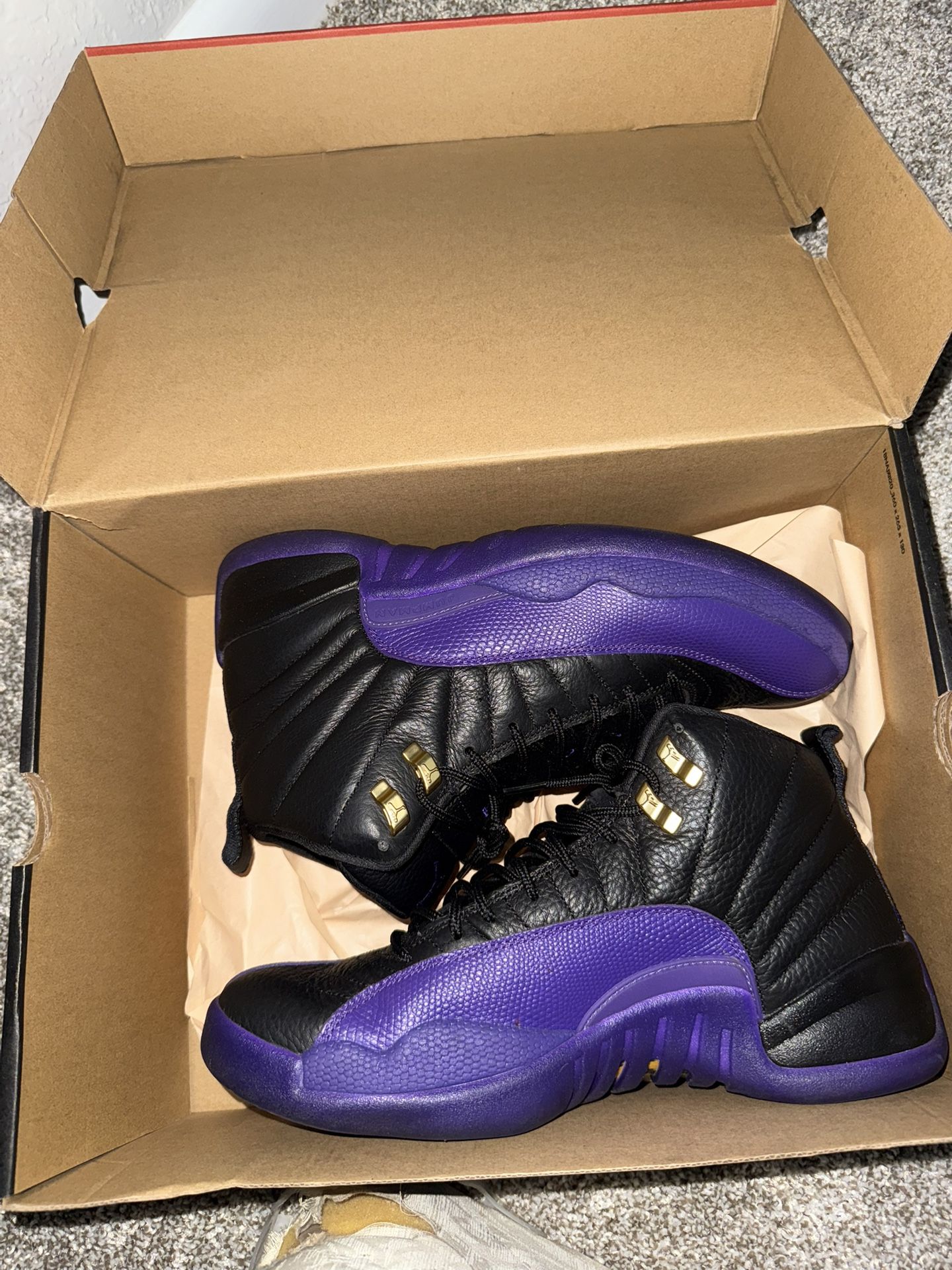 Jordan 12s