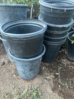 Plant pots