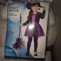 Fancy Witch Toddler Halloween Costume Size 2T