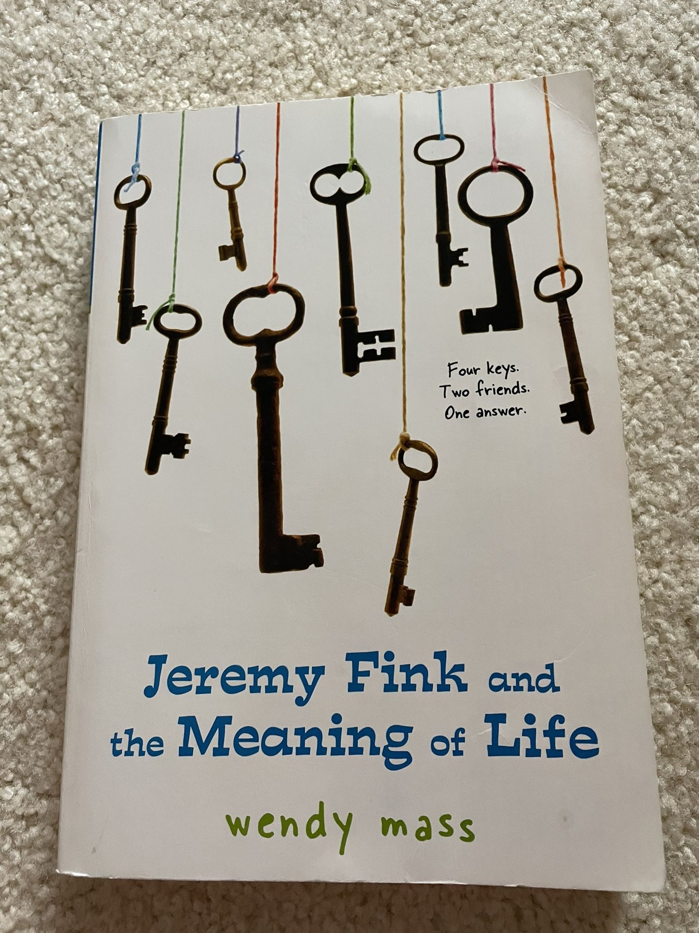 Jeremy Fink and the Meaning of Life by Wendy Mass (Trade Paperback)