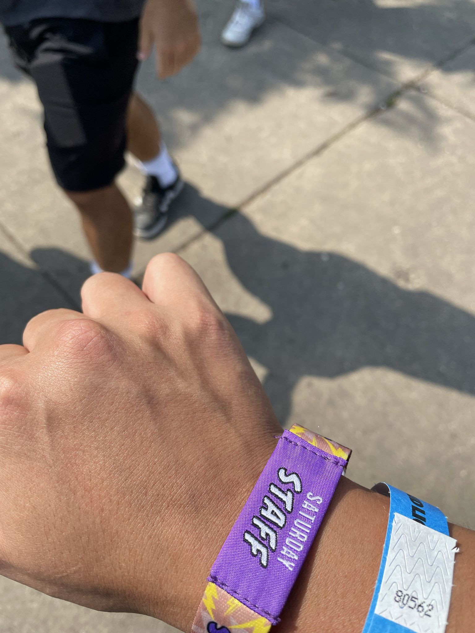 Lollapalooza Staff/ All Access Passes