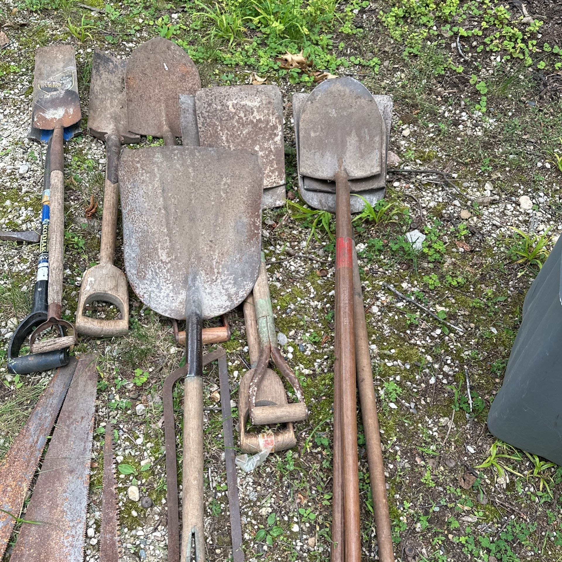 Shovels For Sale