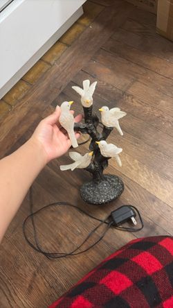 Led Lamp