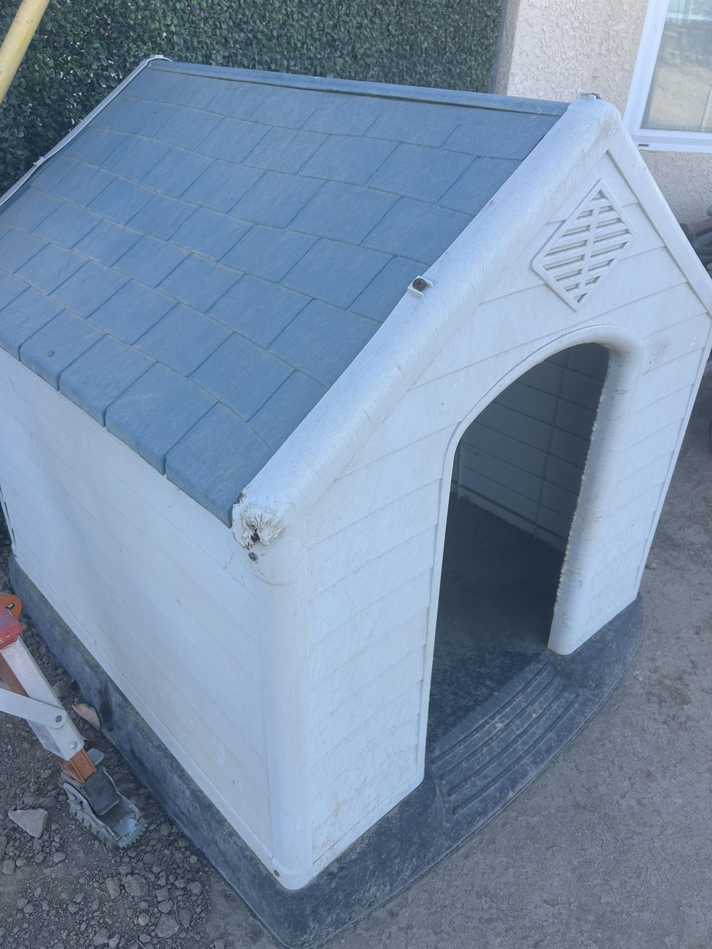 Dog House