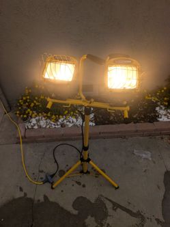 Light