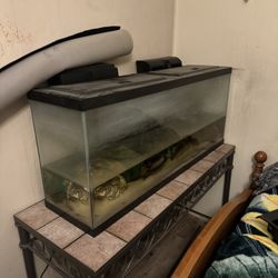 55 Gallon Tank 