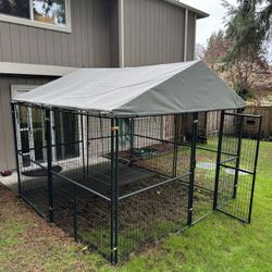 Dog Kennel