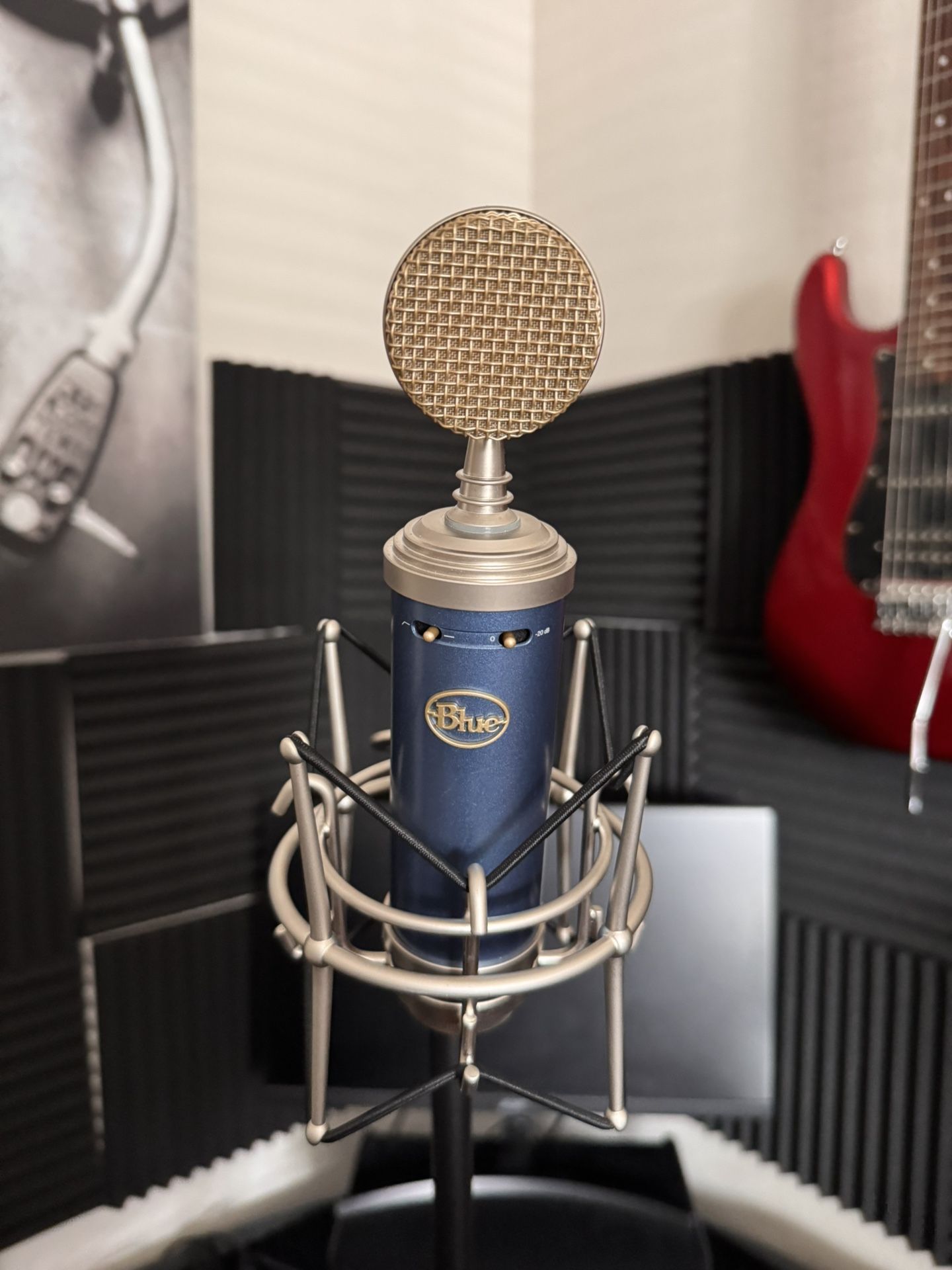 Bluebird Condenser Microphone