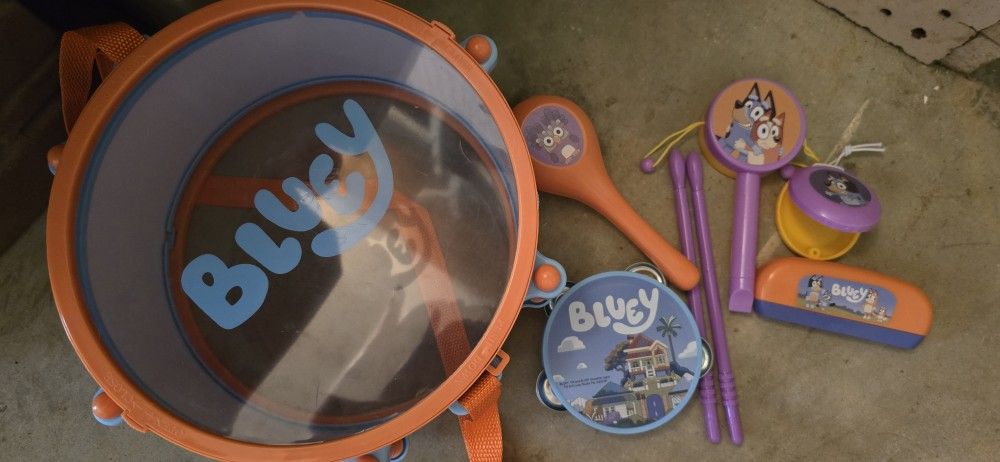 Bluey All In One Band Set
