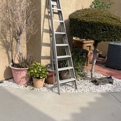 12ft Ladder