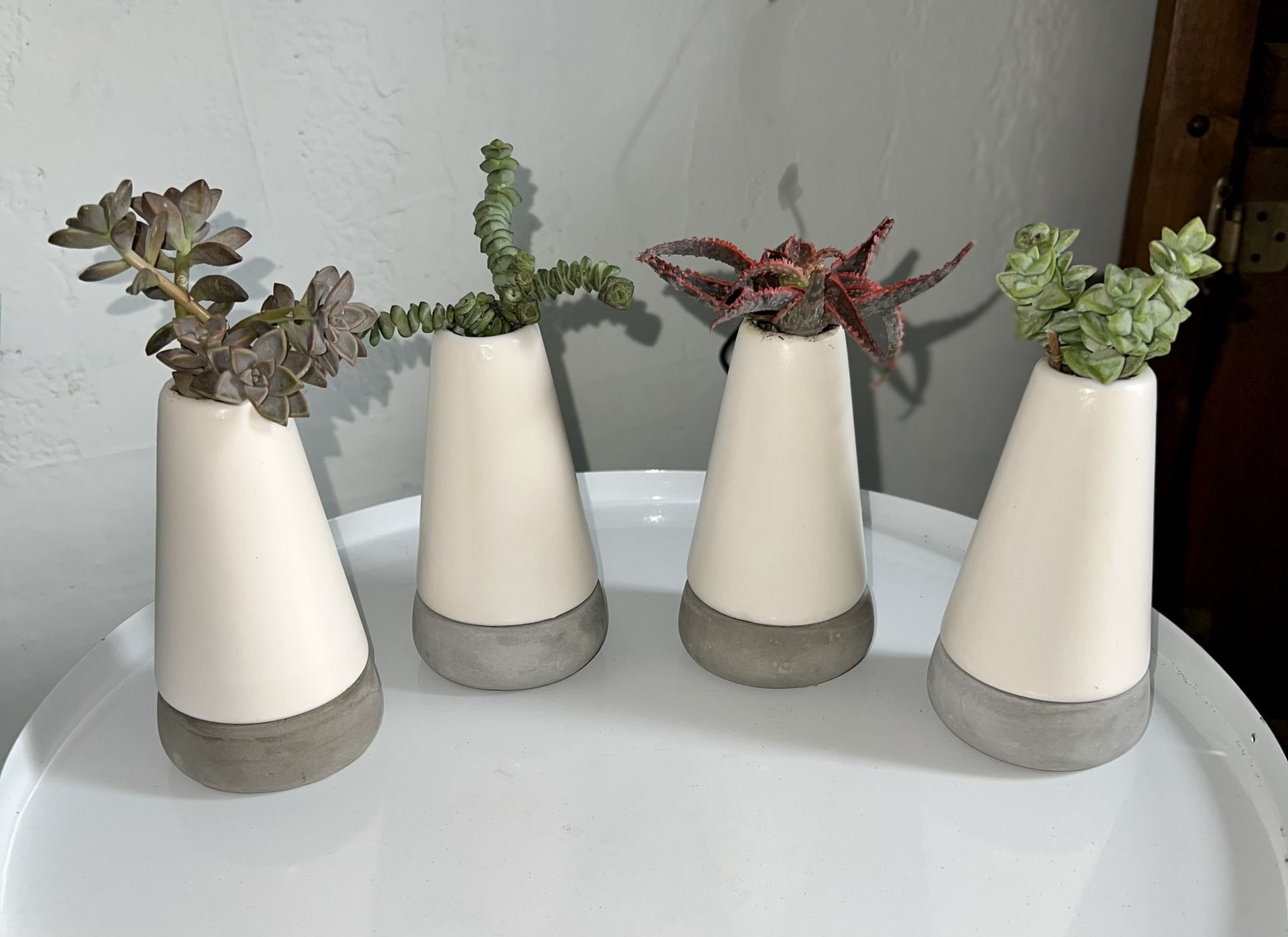 Succulent Vase’s 