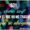 Lirianly Pulido