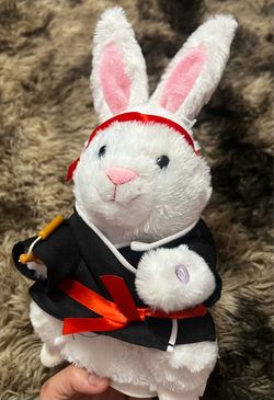Kung fu rabbit
